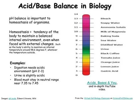 Acid base