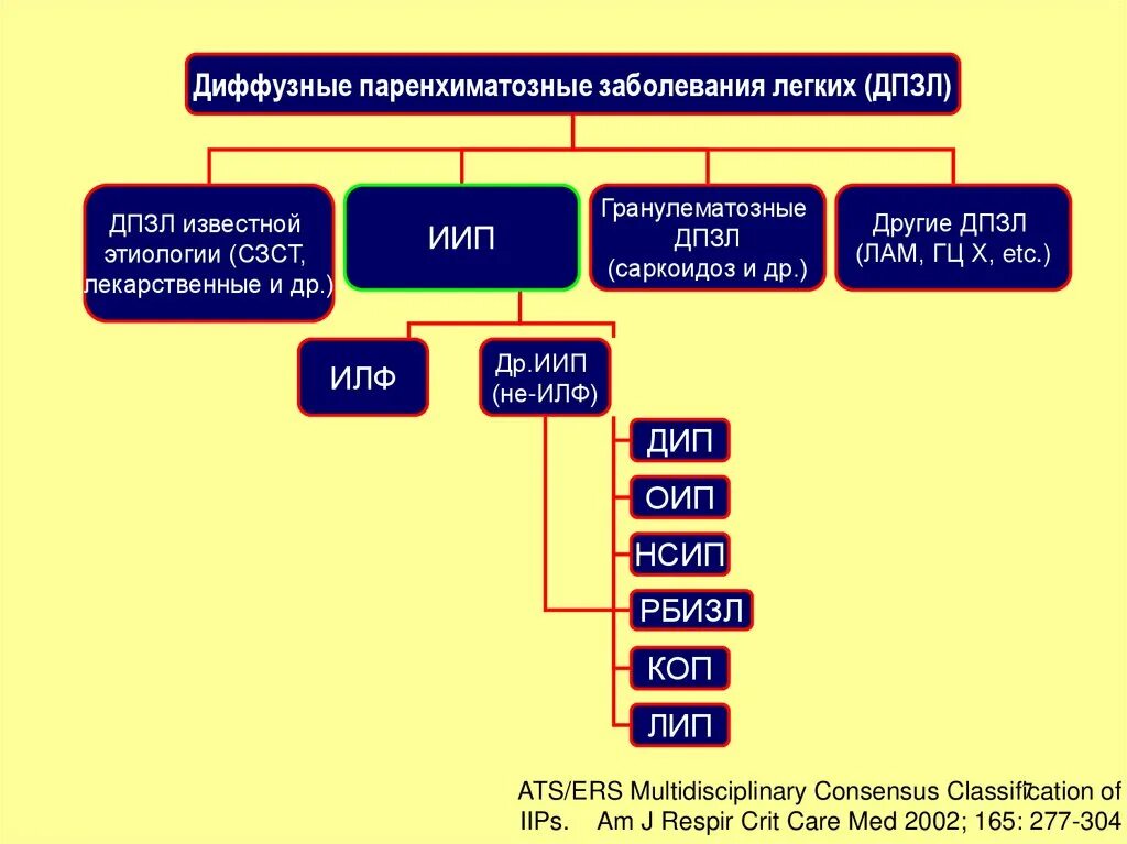 Диффузные заболевания легких. Диффузные заболевания легких классификация. Диффузные интерстициальные заболевания легких классификация. Диффузные паренхиматозные заболевания легких. Интерстициальные заболевания легких классификация.