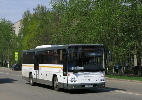 335 новый мост фряново