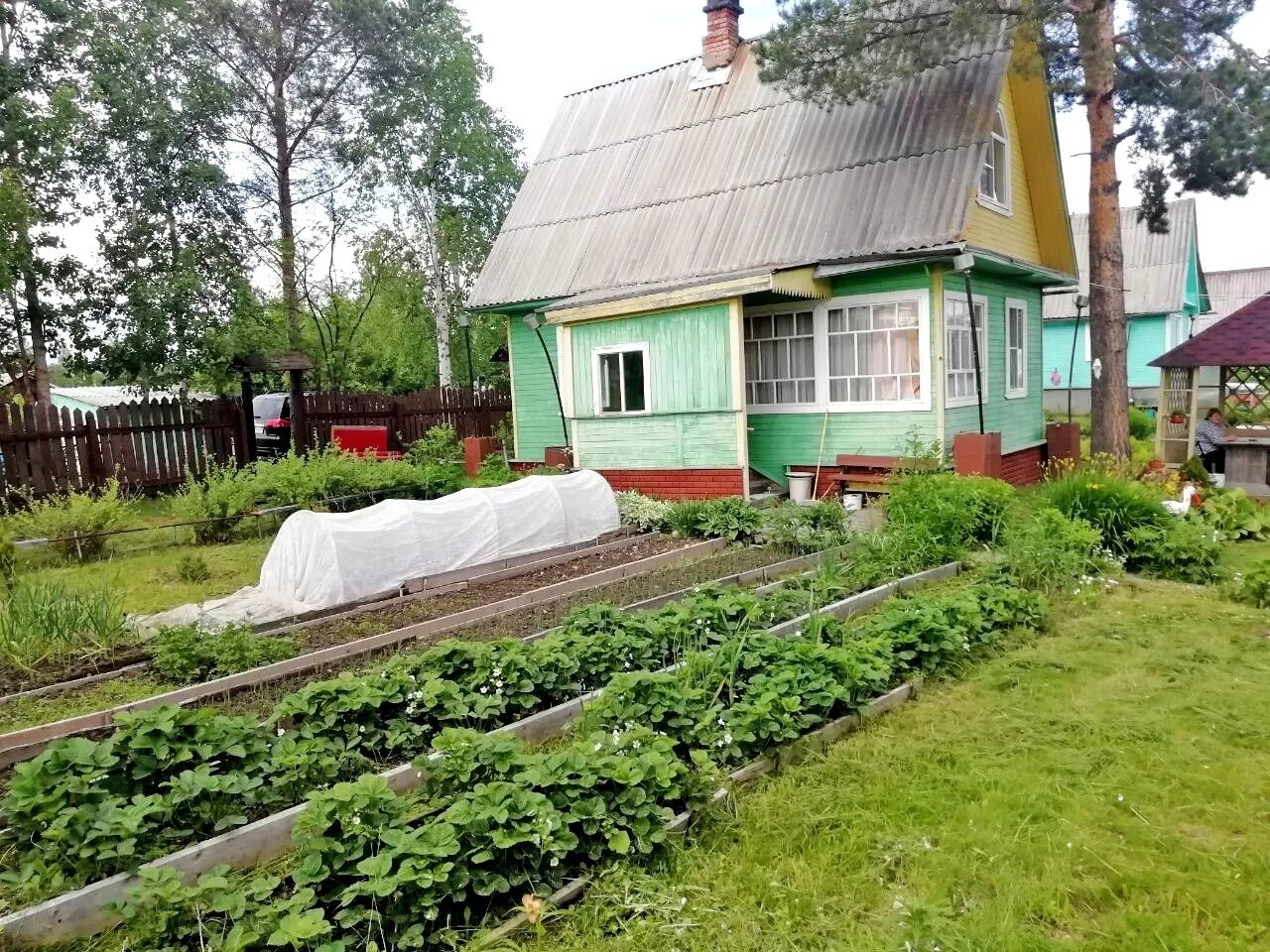 Снт беломор северодвинск. СНТ медик Северодвинск. СНТ Беломор улица 0 Северодвинск. СНТ Беломор озеро.