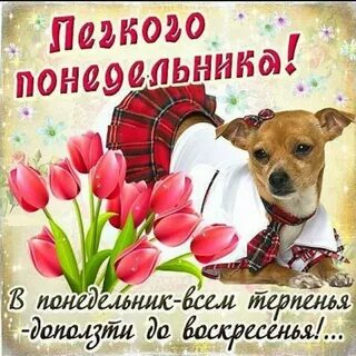 Поздравления с рабочим днем картинки