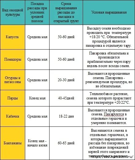 В какое время суток сажать. Сроки посадки овощей таблица. Сроки высадки рассады таблица. Сроки посева семян и высадки в открытый грунт рассады. Сроки посадки овощей в открытый грунт.