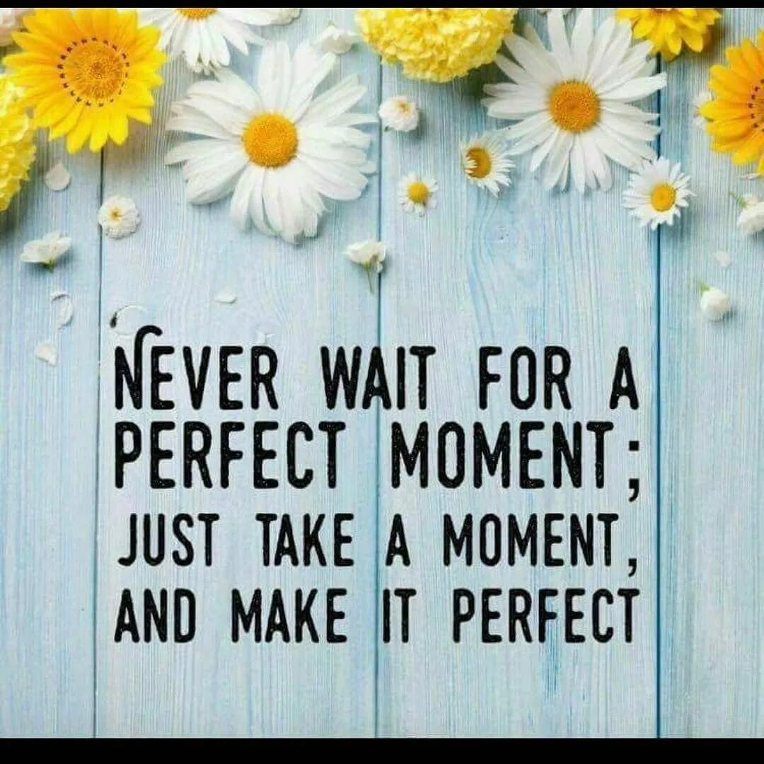 Never wait. Never wait for the perfect moment. just a moment.