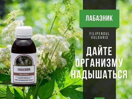 Масло таволги
