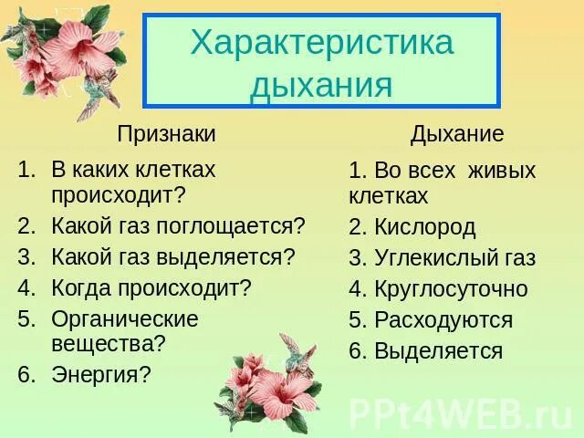 Дыхание происходит во всех живых клетках. Дыхательная система растений. Дыхание в клетках растений происходит. Происходит во всех клетках растения. Когда происходит дыхание.