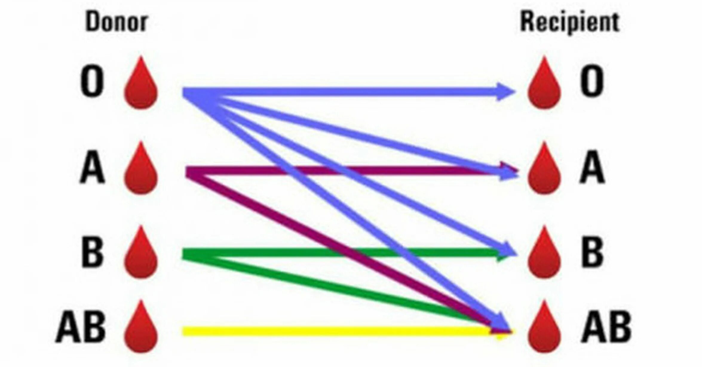 Универсальный донор и реципиент группа. Универсальный донор и реципиент группа. Группа крови. Переливание крови донор реципиент. Переливание крови универсальный донор универсальный реципиент.