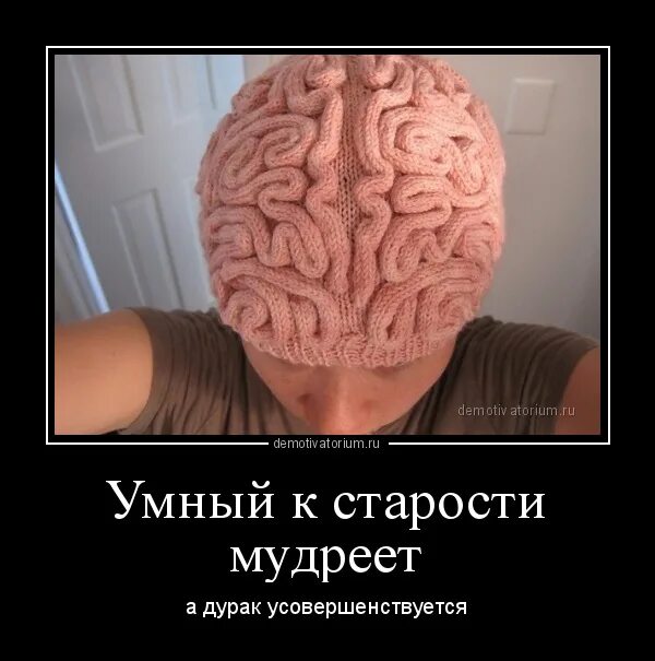 Глупые мозги