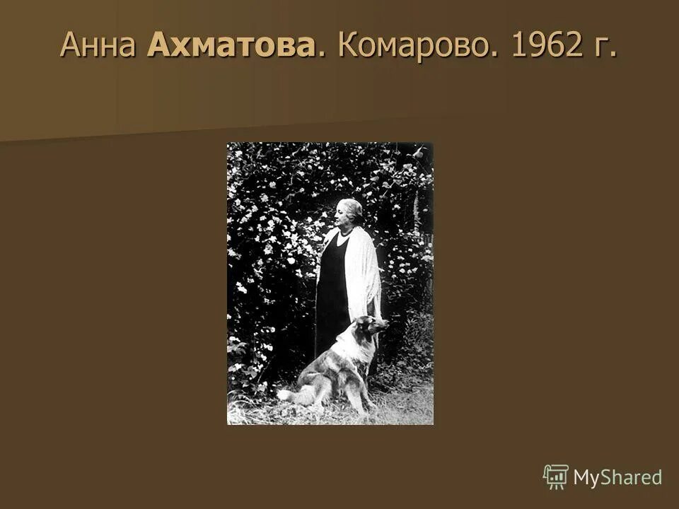 Ахматова в комарово. Реквием Ахматова. Иллюстрации к поэме Реквием Ахматовой.