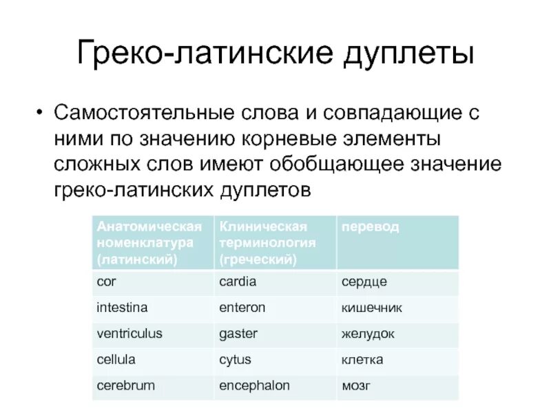 Термины на латинском языке. Латинские слова. Основные понятия на латыни. Термины на латыни анатомия.