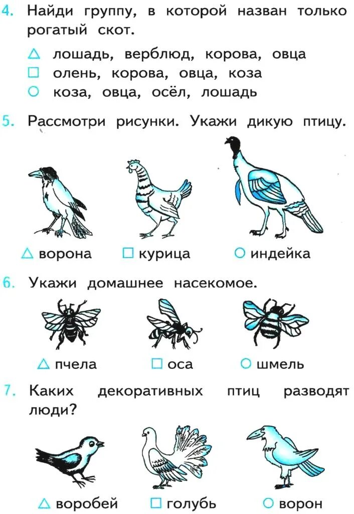 Окружающий мир 2 класс тесты животные. Тест Дикие животные. Дикие и домашние животные 2 класс тест. Тест про животных для детей. Проверочная работа Дикие и домашние животные 2 класс.