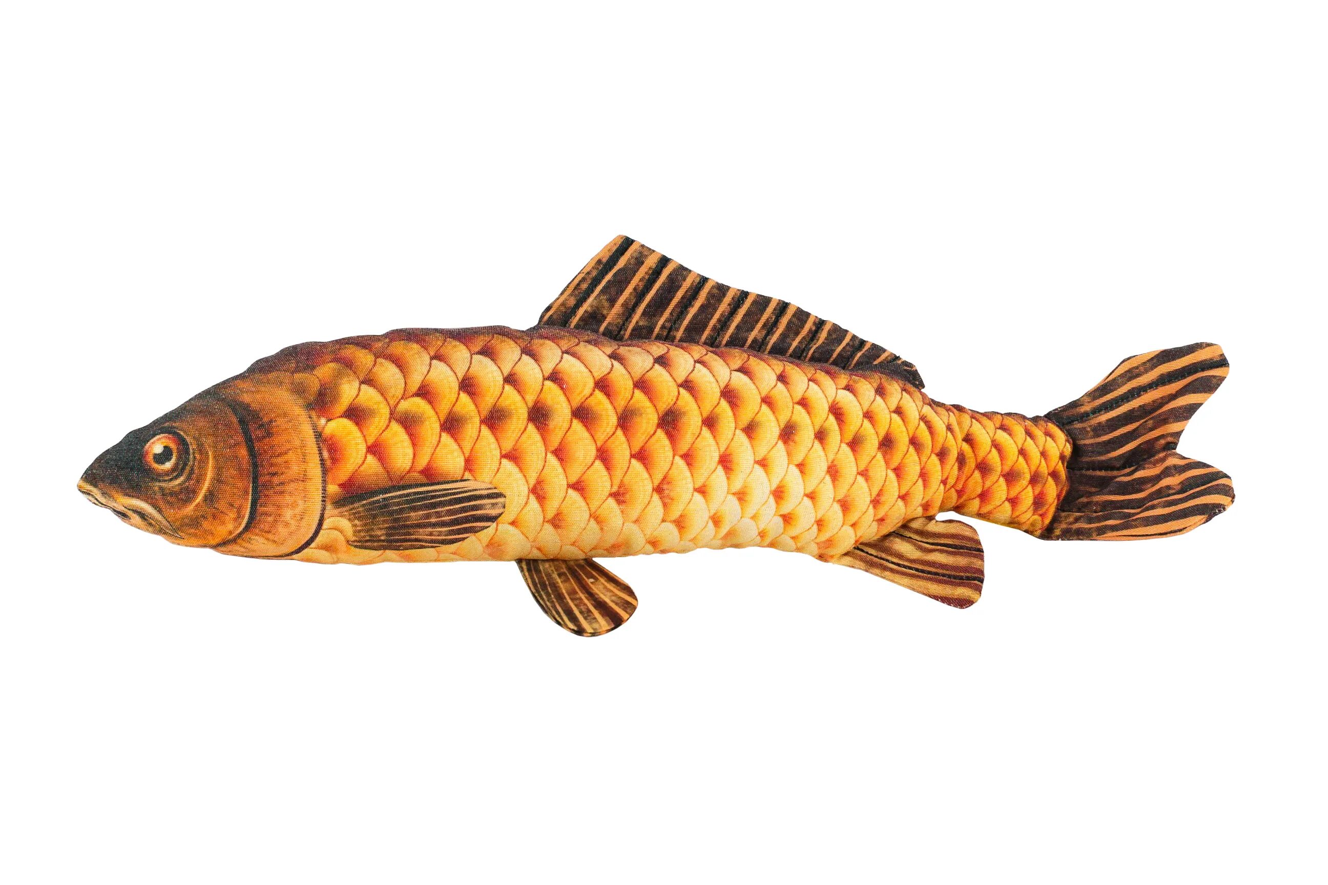 Сазан красная рыба. Золотистый сазан. Рыба Карп. Декоративный сазан.