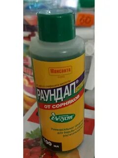 Раундап через сколько начинает действовать