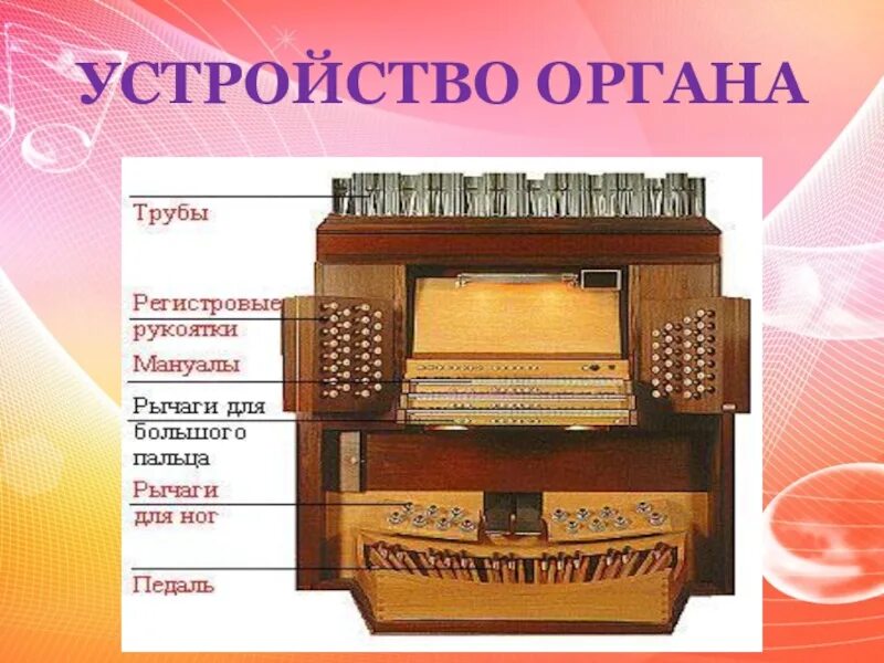 Где есть орган. Строение органа инструмента. Строение музыкального органа. Устройство органа музыкального инструмента. Из чего состоит орган музыкальный инструмент.