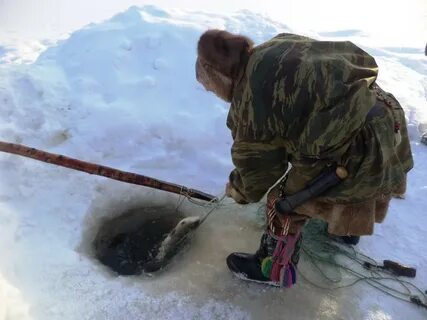 Охота и рыбалка на крайнем севере видео