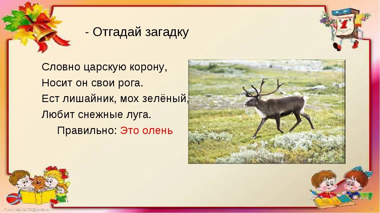 Существительное к слову олень. Загадка про оленя. Загадка про оленя для детей. Загадка о олене. Загадка об олене для детей.