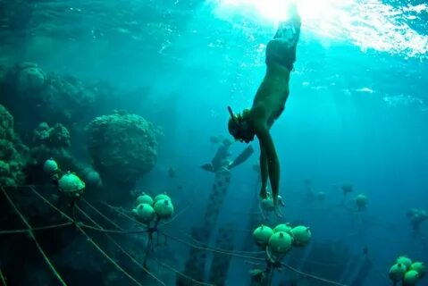 Diving for pearls