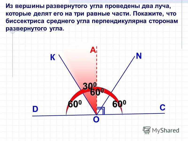 Сколько вершин имеет угол