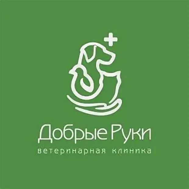 Клиника добрые руки Вологда. Ветклиника добрые руки. В добрые руки ветеринарная клиника. Ветлечебница в добрые руки. Контакт добрые руки