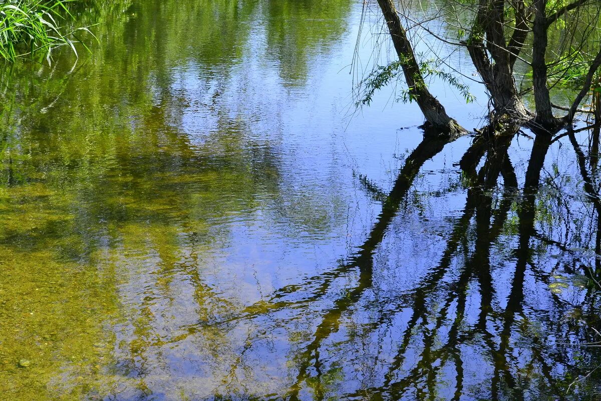 как вода пробежали года. как бежит вода. сильное течение реки. жидкий. всё хорошо в природе но вода красота всей природы вода живая она бежит.