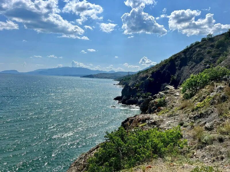 Катанка стальная 6 мм. Итуруп бухта белая бухта макарова. Рулонная сталь оцинкованная. Бухта стали. Ту 14-1-5282-94 катанка.