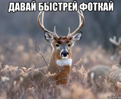 Давай побыстрее то
