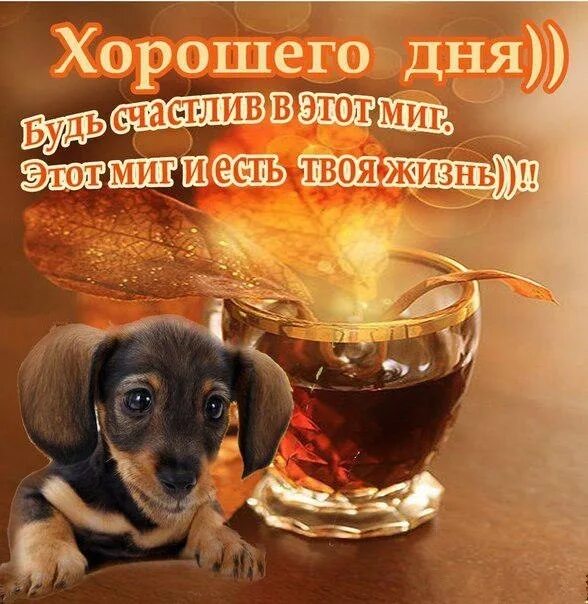 Удачного трудового дня. Приятного дня и отличного настроения мужчине. хорошего дня и отличного настроения мужчине. пожелания хорошего дня мужчине. хорошего рабочего дня и отличного настроения.