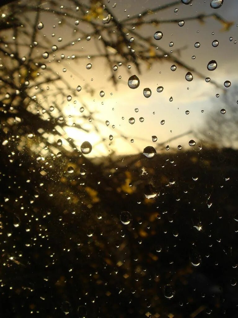 Raindrops отзывы. Капли дождя. Капли на стекле. Капли дождя на окне. Капли на стекле окно.