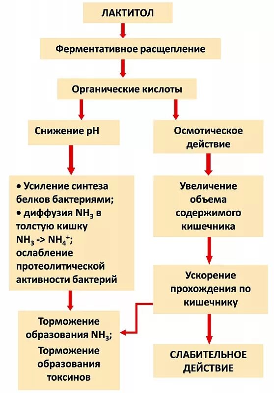 Слабительные средства механизм действия. Механизм действия слабительных средств. Слабительные препараты классификация механизм действия. Механизм действия солевых слабительных. Механизм слабительного