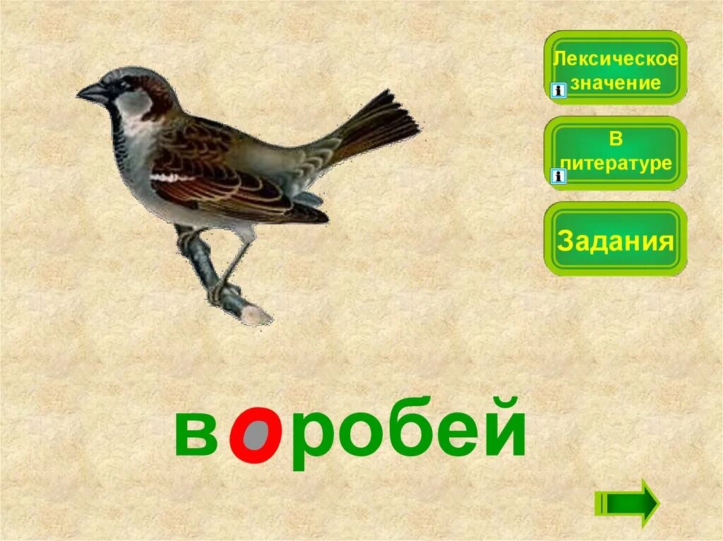 Воробей что это значит. Воробей словарное слово 1 класс. сорока лексическое значение. лексическое значение слова воробей. ворона словарное слово 1 класс.