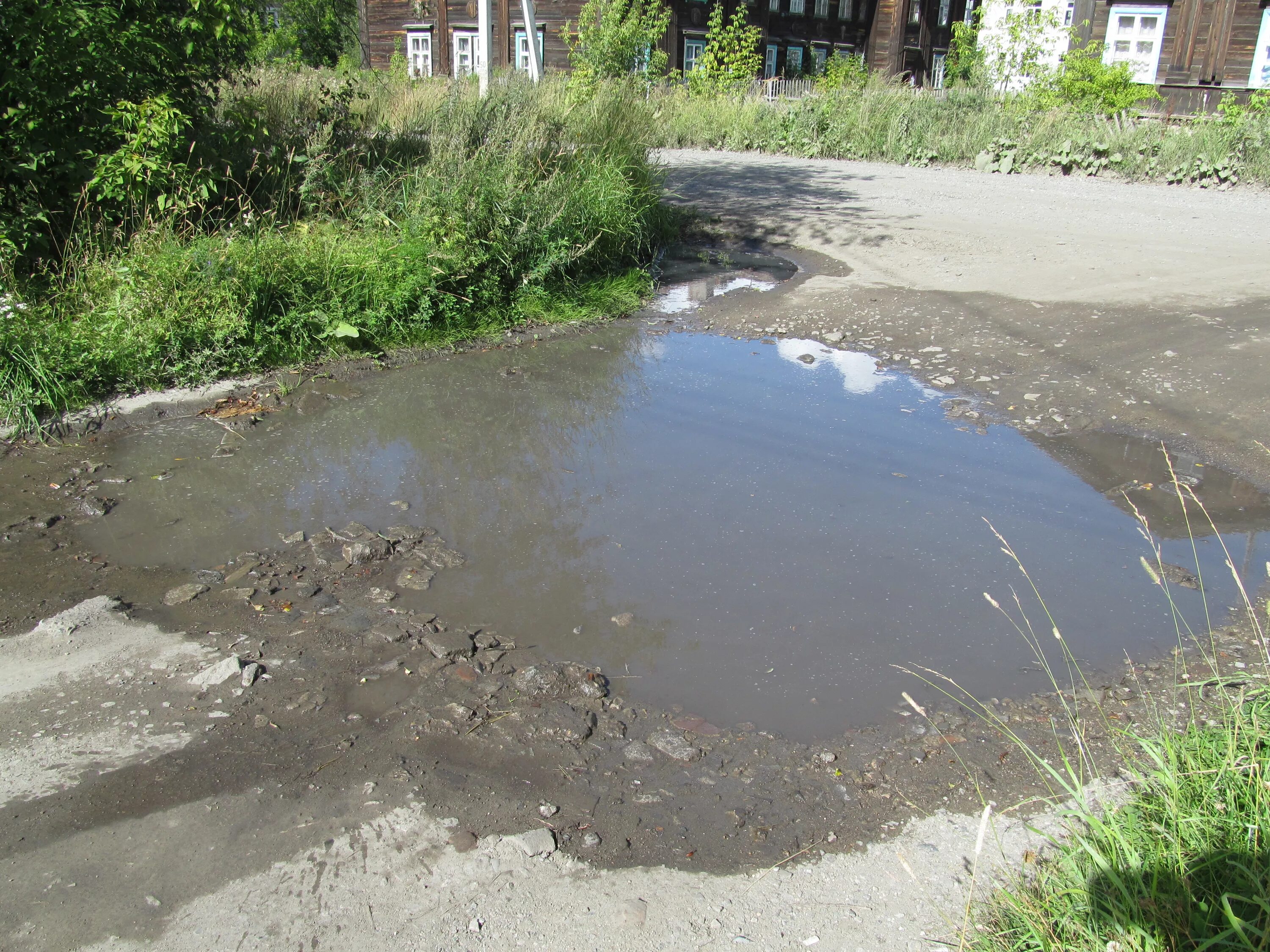 Вода из грязной лужи. Грязная лужа. Большая грязная лужа. Мутная лужа. Деревенская грязная лужа.