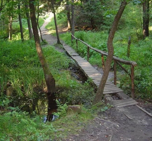 ближайший родник. карта гатчинского района. родник владимирская область. родник ленинградской области на карте. трамплин томск академгородок.