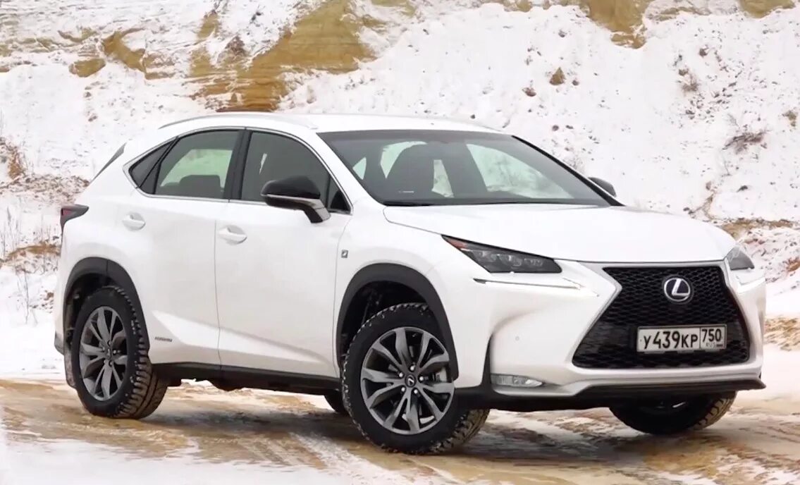 Лексус NX 300 белый. Lexus кроссовер nx300. Lexus nx300h 2015. Лексус NC 300. Lexus nx 300h