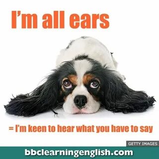 Hear them