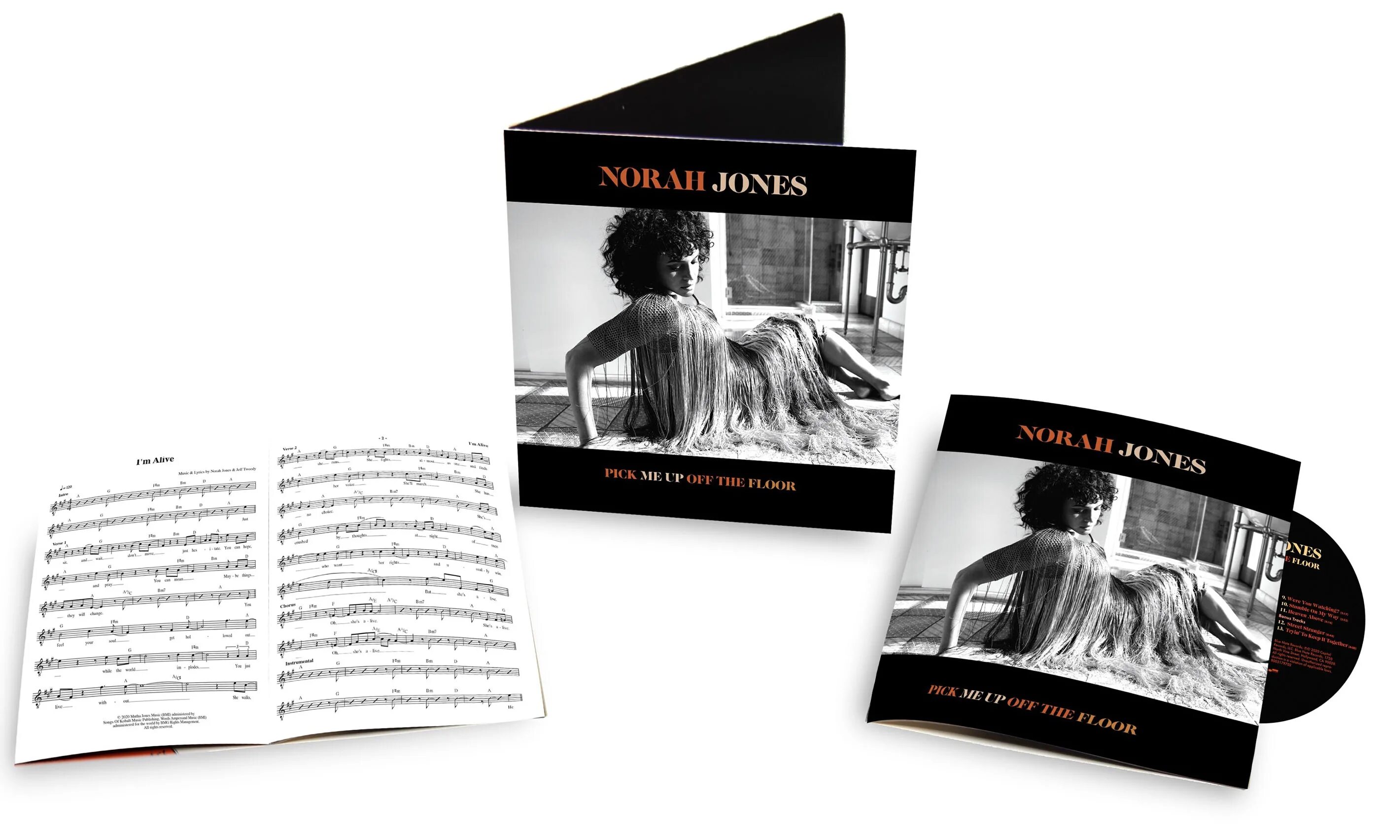 Pick me novel. Norah Jones 2020 `pick me up off the Floor`. Norah Jones CD. Norah Jones "Fall".
