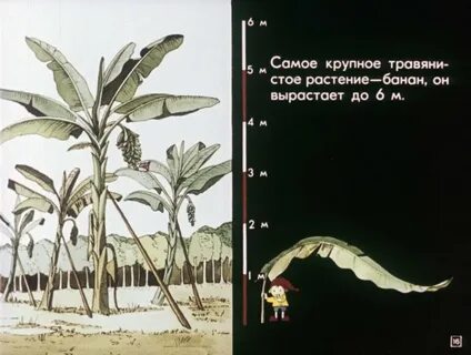 В деревне где я рос была необыкновенная