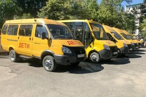 Кладбище школьных автобусов читать 86 глава