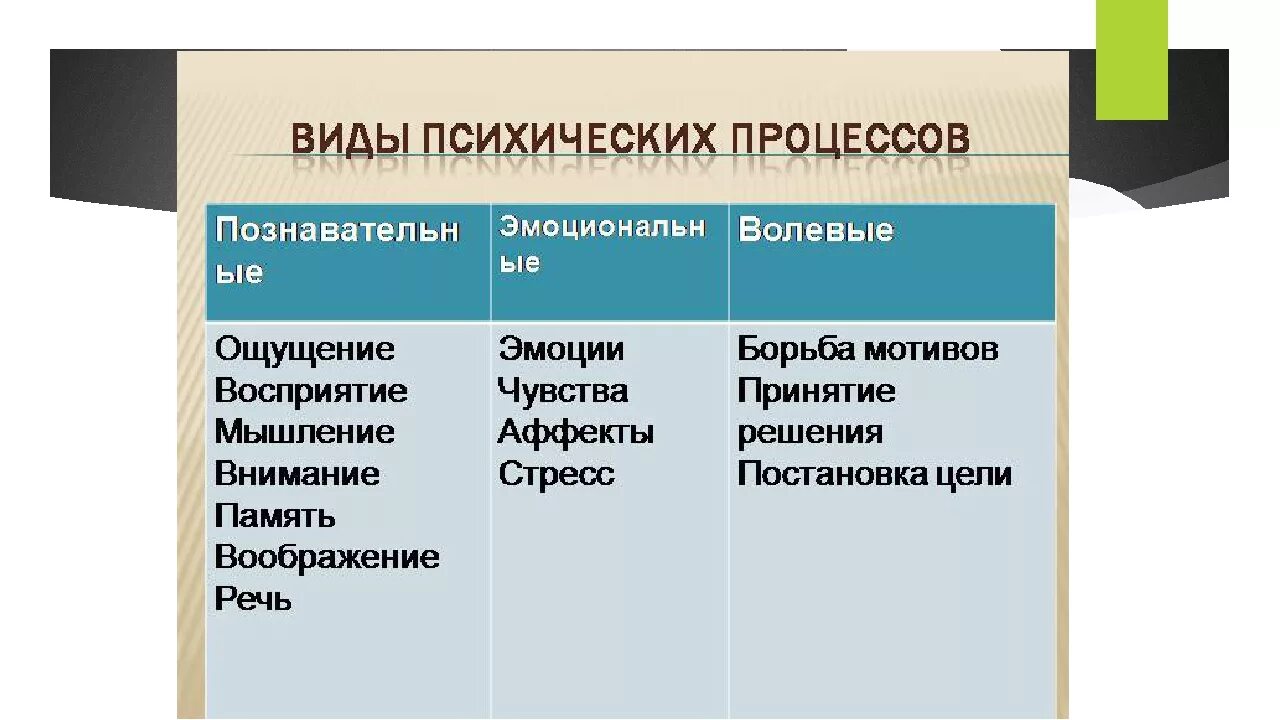 Психические процессы кратко. Психические процессы. Виды психических процессов. Виды психологических процессов. Биопсихические процессы.