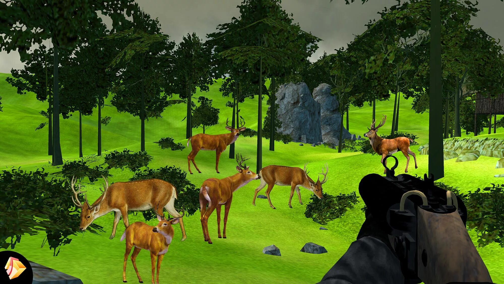 Deer Hunter игра. Дир Хантер 2017. Охотник игры 3. Deer Jungle. Дир хантер