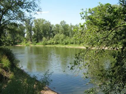 Река сок