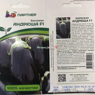 Баклажан андрюша