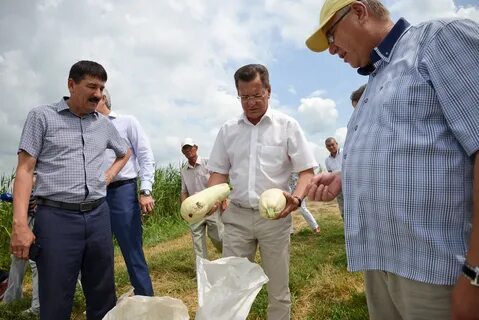 Кфх астрахани