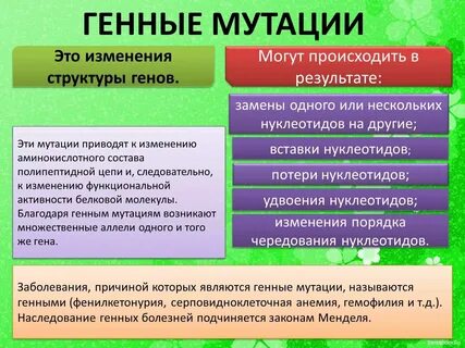 Генная мутация возникает в результате