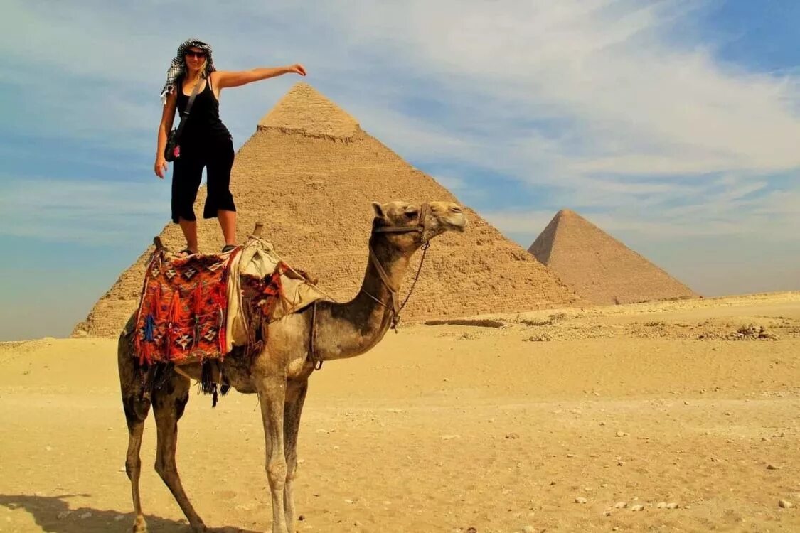 В египте было очень. Шарм эль шейх верблюд. египет пирамиды бедуины. верблюды в египте. кататься на верблюде.