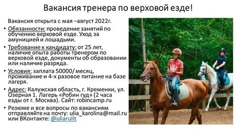 Сколько зарабатывает конный тренер