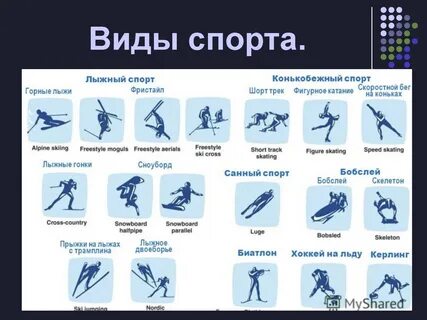 Какие есть зимние спорты