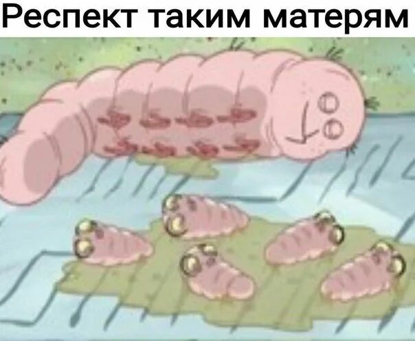 Червяк боба. Червяк боба. Червяк щипок губка боб. Яблоко с червяком. Старый на коляске из спанч боба.