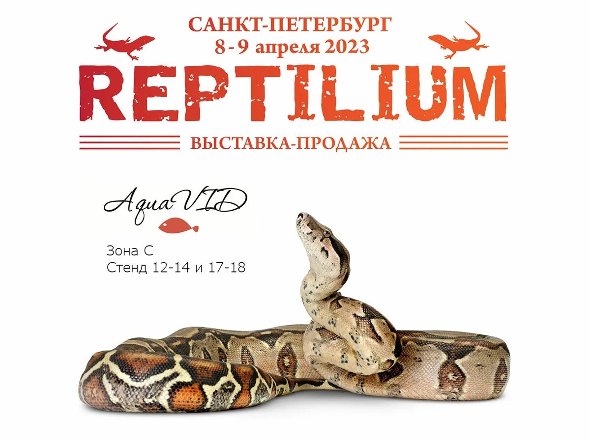 Выставка Рептилиум. Выставка Рептилиум 2024. Рептилиум 2023 Санкт-Петербург. Рептилиум СПБ 2024. Афиша питер апрель 2024