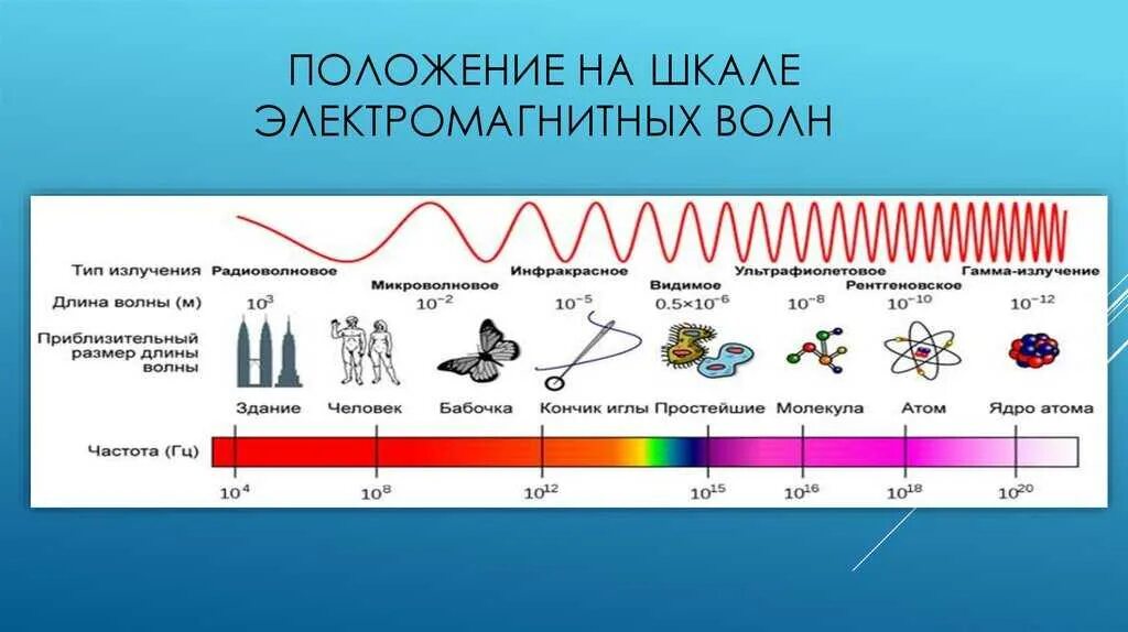 Шкала излучения электромагнитных волн таблица. Шкала длин волн электромагнитного излучения. Шкала электромагнитных волн таблица 11 класс. Шкала электромагнитных излучений таблица 11. Какое излучение обладает наибольшей частотой