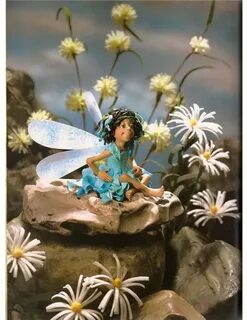 Gnomes and fairies marco cutini