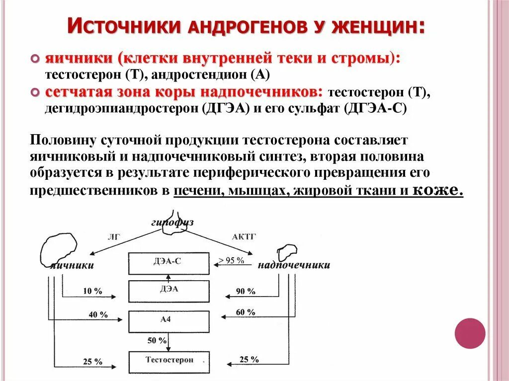 Как снизить андрогены